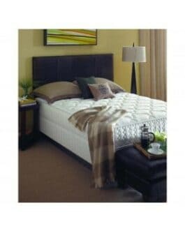 Sealy Plush Mattress
