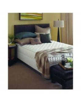 Sealy Firm Mattress
