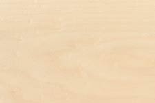 Maple Natural - The Wallbed Factory