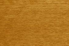 Oak Honey - The Wallbed Factory