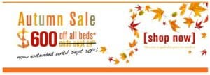 Read more about the article Autumn Sale 2009 Extended!