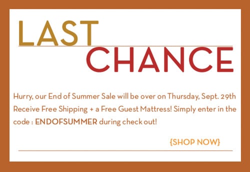 Read more about the article There’s still time to save!