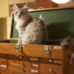 Downsize Your Living Space to Save Time, Energy and Money
