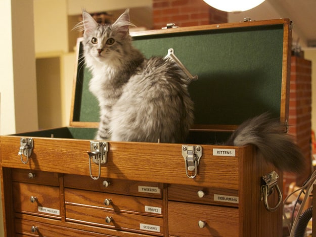 Read more about the article Downsize Your Living Space to Save Time, Energy and Money